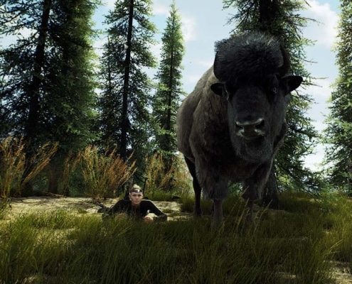 Way of the Hunter Wood Bison