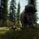 Way of the Hunter Wood Bison